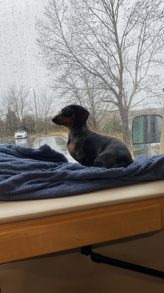 Road trip in the RV